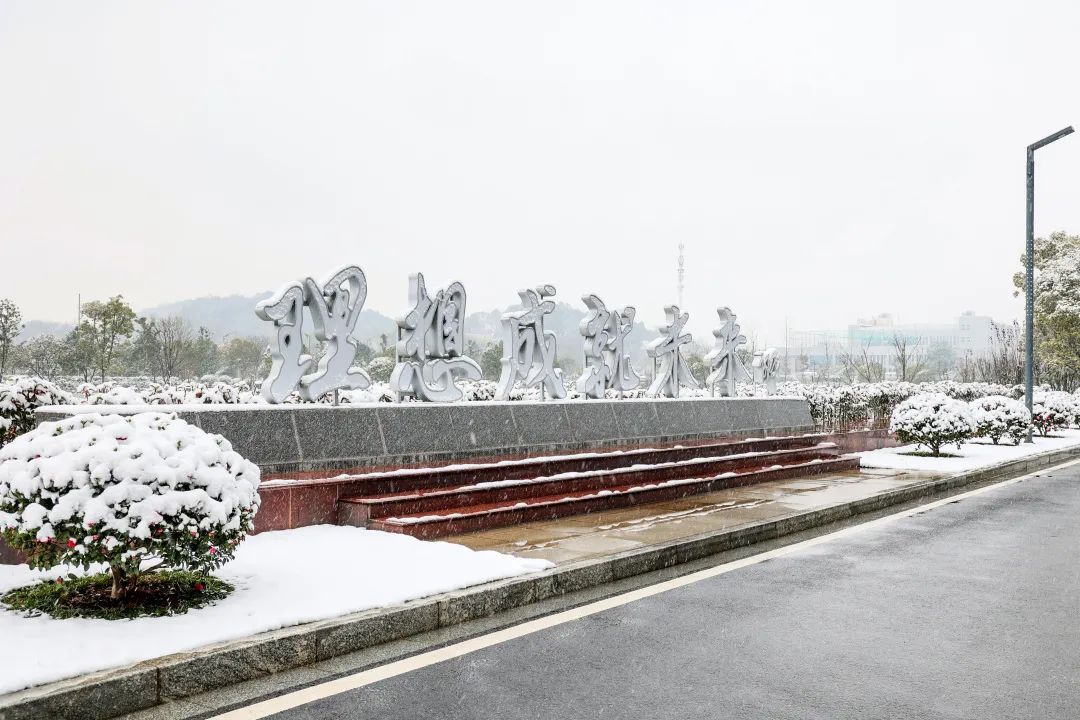 瑞雪兆有年，邀您共赏雪中尊龙凯时！